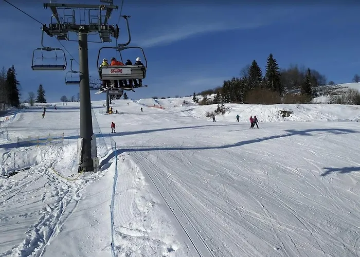 Visitzakopane - Karina Bed & Breakfast Witów